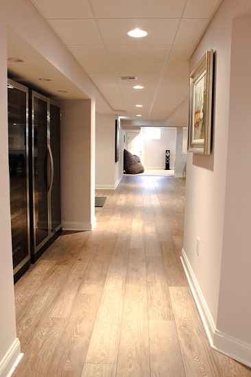Botwood Basement